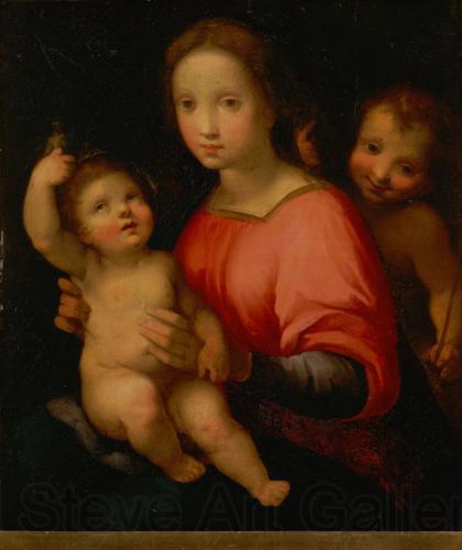 Andrea del Sarto Maria mit Kind und Johannesknaben France oil painting art